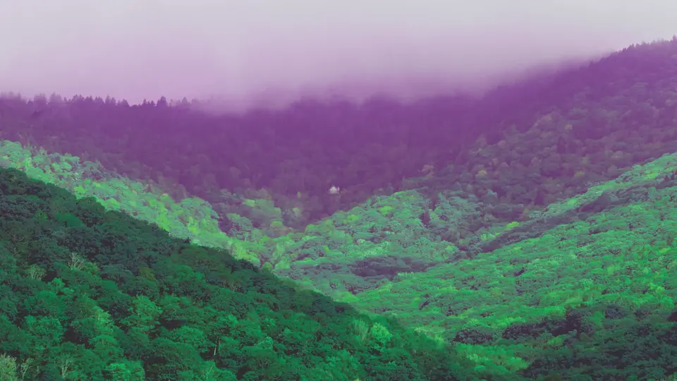 A single A frame cabin sits on stilts amongst the tree tops of a moutain side forest.