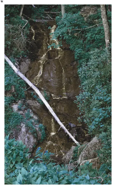 A hidden waterfall nestled in between the mountains shows a large dead tree fallen diagonally across creating a makeshift bidge from the bottom to the top.
