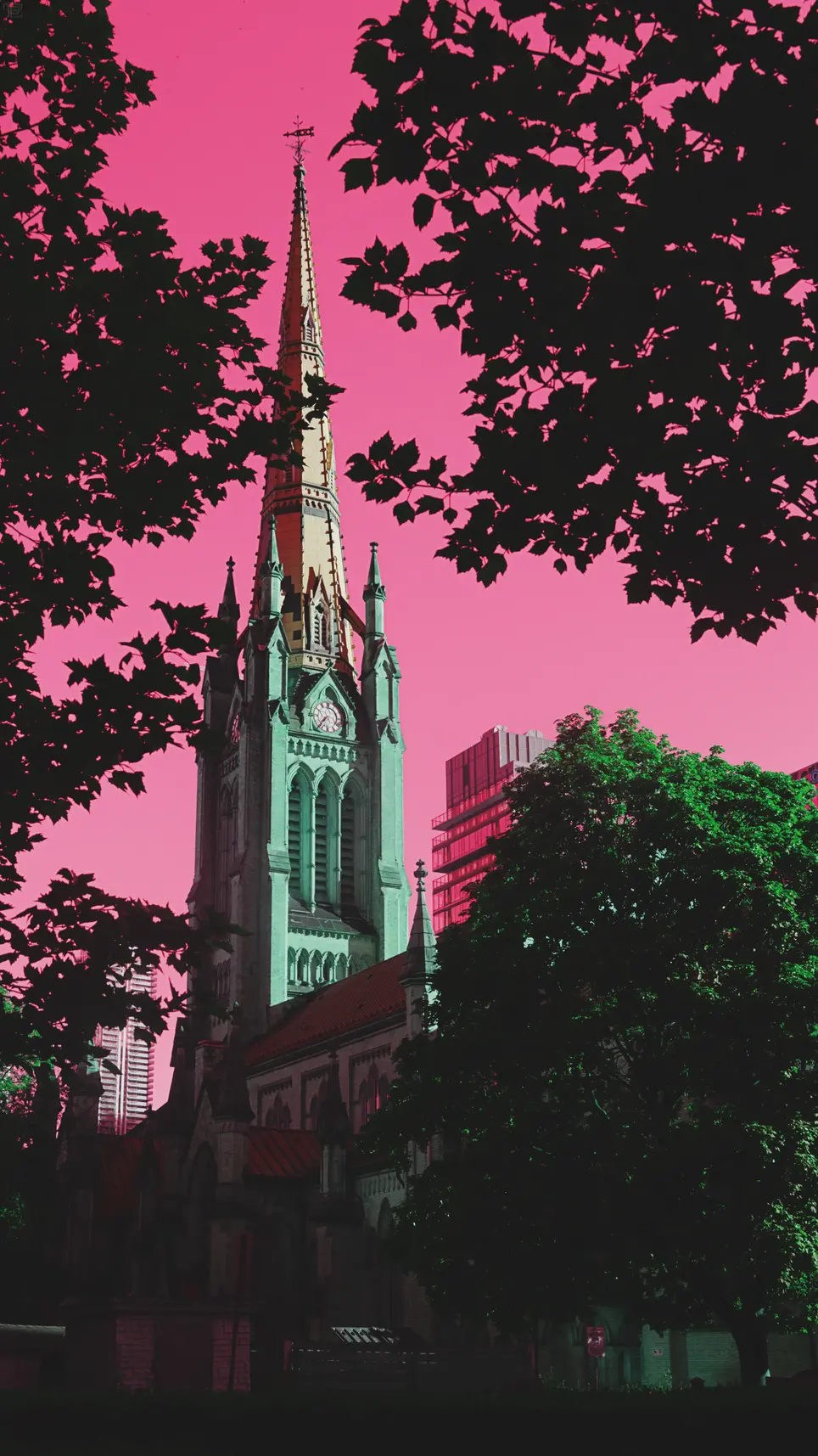 The Cathedral church of St. James's spire taken from amongst the trees outside.