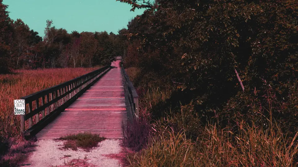 A bridge connects one patch of land to another over a swamp. There's a sign on one side of the bridge that says 'Load Limit 3 tons'