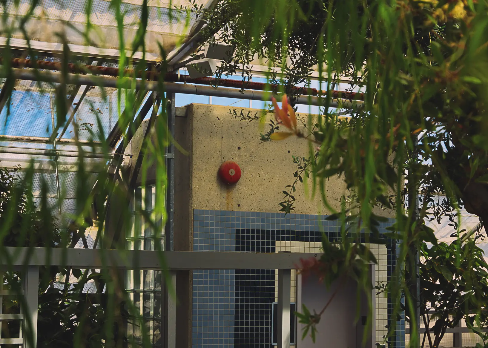 Red fire alarm bell seen inside a botanical garden.