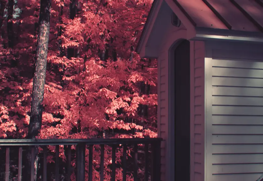 Infrared photo of a rooftop doorway against a red leaf forest.